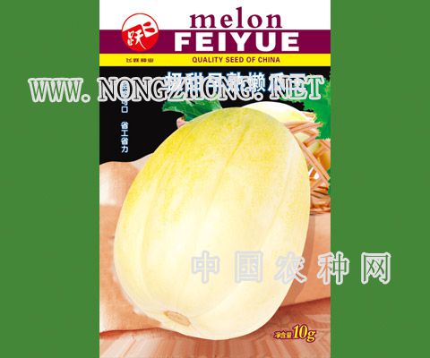 极甜早熟懒瓜王